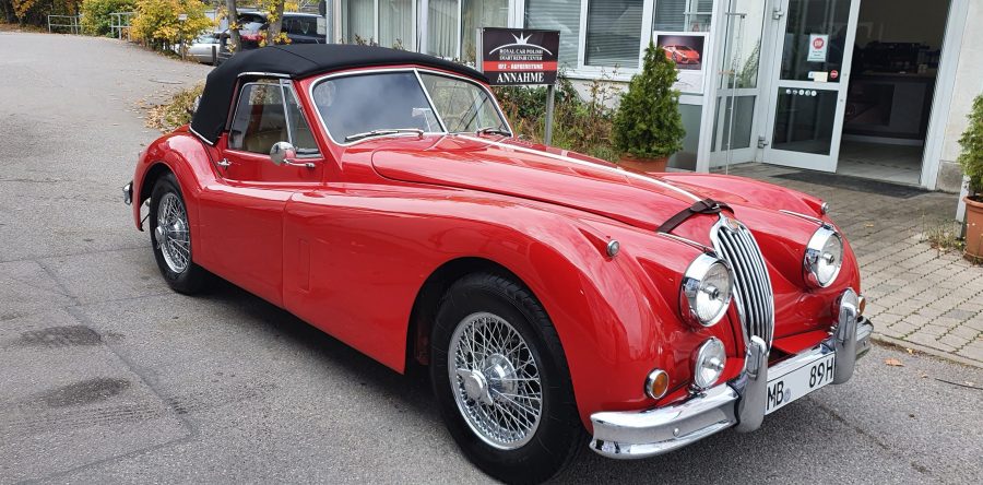 Jaguar Eingang