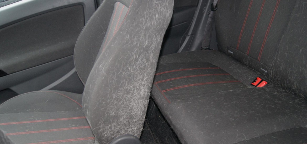 Tierhaarentfernung bei einem Opel Corsa - Vorher